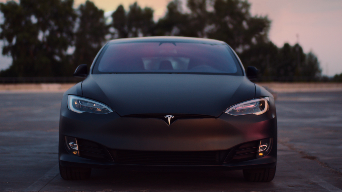 Mentaliteit Allerlei soorten Verplaatsbaar Video: Tesla-eigenaar blaast auto en loyaliteit aan Elon Musk op