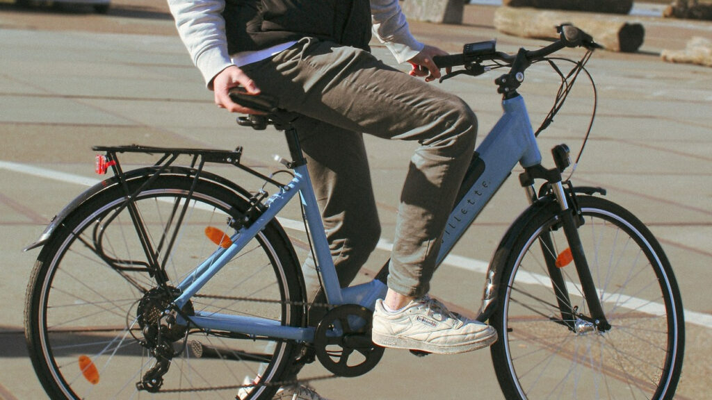 albert heijne vilette e-bike goedkoper dan elektrische fiets lidl